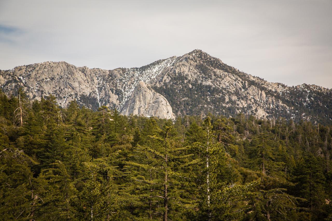 Idyllwild Camping Resort Cabin מראה חיצוני תמונה